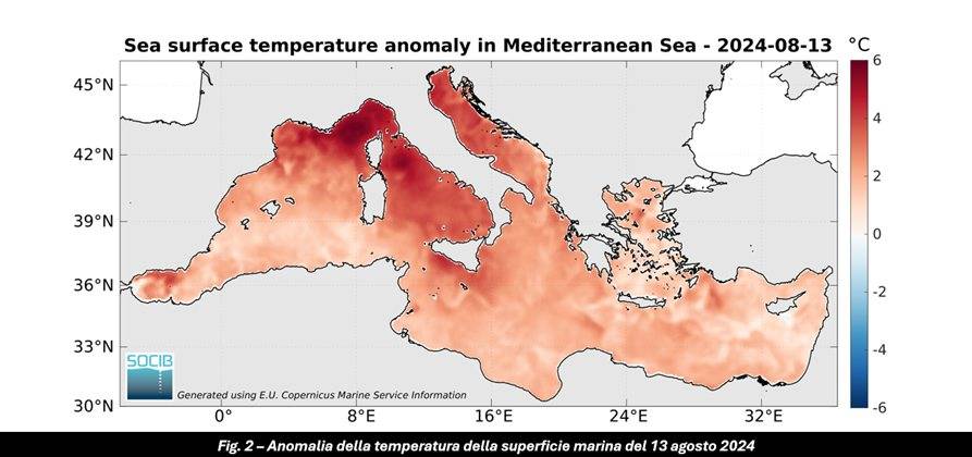 Anonalia della temperatura superficiale del mare